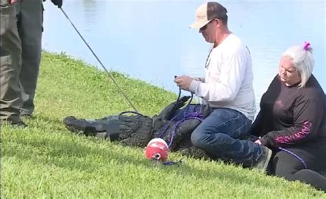 Family of Florida woman killed in alligator attack sues housing company