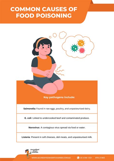 How Long Does Food Poisoning Take? Onset, Symptoms & Recovery Timeline | Accredited Short Courses