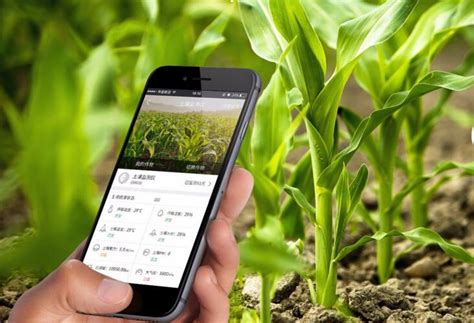 智慧农业是信息技术与传统农业的深度结合其效益在哪里？_西安软件公司