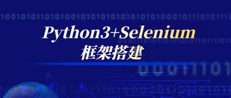 Selenium FirefoxDriver Python 的图像结果