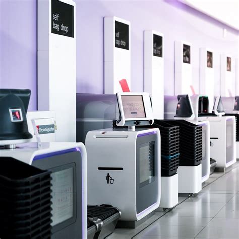 Tulip Festival In Delhi: Dates, Venue, Timings And More