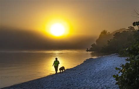 Activities — Hobe Sound Nature Center
