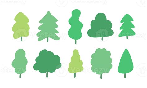 Image result for Arboles Simple En PSeInt