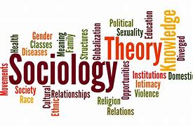 Image result for sociology