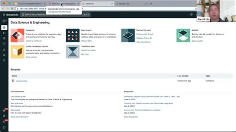 Databricks Demo 的图像结果