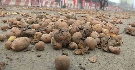 With Potato Fetching Just Rs 4/Kg, UP Farmers Throw Their Crops Outside ...