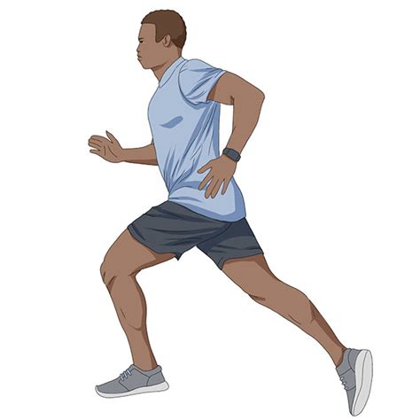 Run Draw 的图像结果