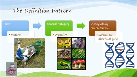 Define Pattern 的图像结果