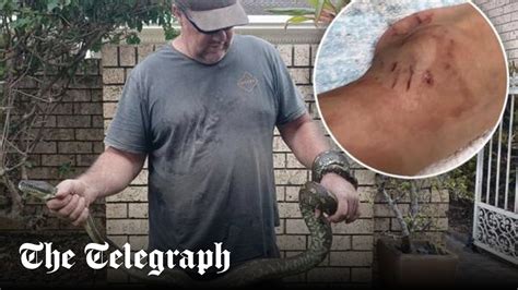 Image result for Attack Florida Human in On Python