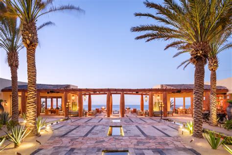 Hilton Management Development Program 的图像结果