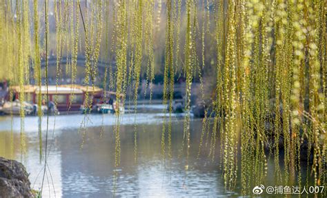 环城公园@新浪山东 @浪部落 @济南市旅游发展委员会 @中国摄影师联盟|环城公园|部落|济南市_新浪新闻