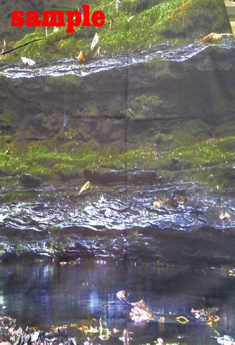 GCKG 7x5ft Sexy Ass Girls Touch Ass Polyester India | Ubuy