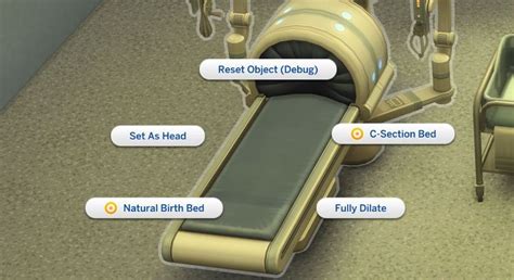 Image result for Sims 4 Childbirth Mod Review