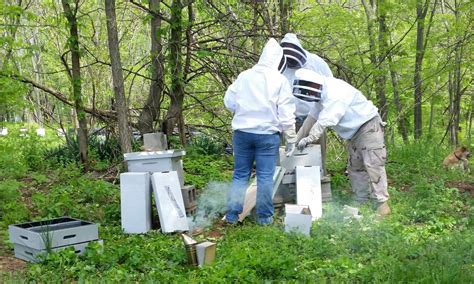 Veteran Beekeeper Program - Frank W. Buckles Veteran Beekeepers Association