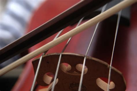 Image result for Weirdest Musical Instruments