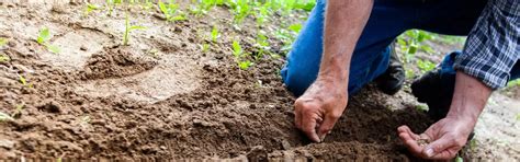 Security & Facility Management Companies in Mumbai - CISB