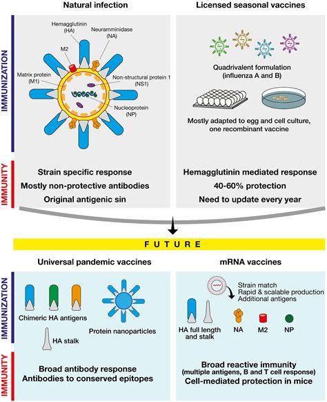 mRNA, the beginning of a new influenza vaccine game | PNAS