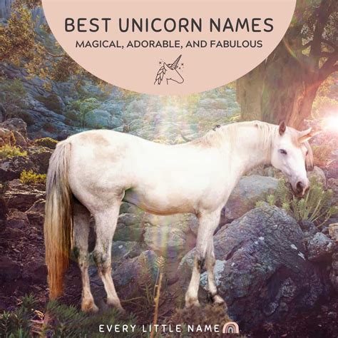 240+ Best Unicorn Names (Magical, Adorable, and Fabulous) - Every Little Name