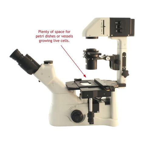 Image result for Microscope World