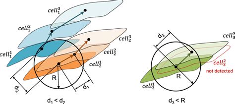 Image result for Cell Gradient Tracking