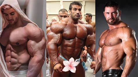 Image result for Paride Muscle Model