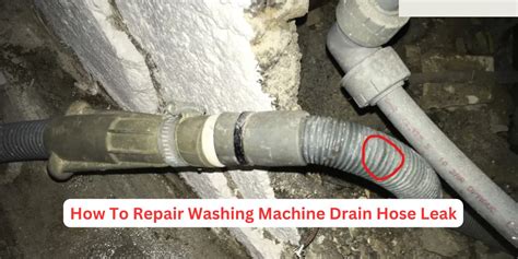 Image result for Leaking Washing Machine Hose