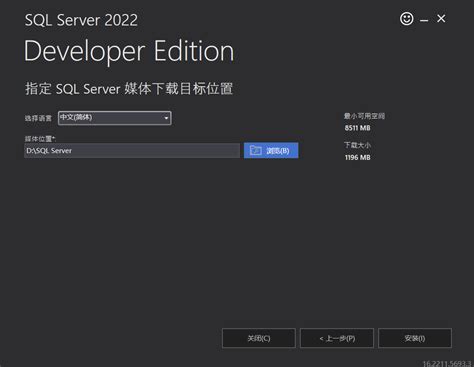 VS2022 SQL Server Tutorial 的图像结果