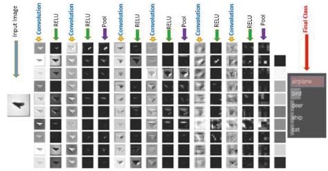 Feature Map Computer Vision 的图像结果