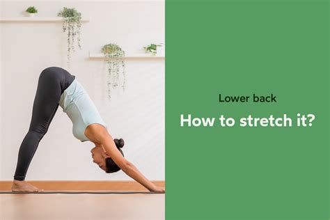 Image result for How to Stretch Lower Back Muscles