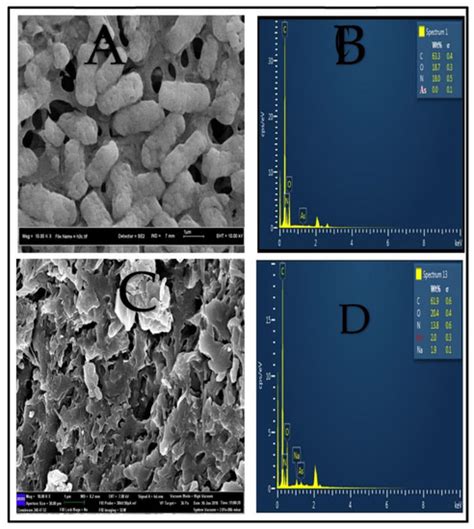 Optimization of As(V) Removal by Dried Bacterial Biomass: Nonlinear and ...