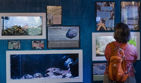 Opening in May for the 2024 Season! - The Oceanarium and Education Center