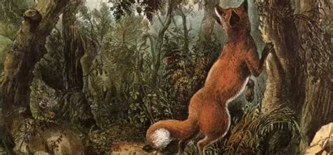 Optical Illusion Tests Eyesight With 16 Hidden Animals