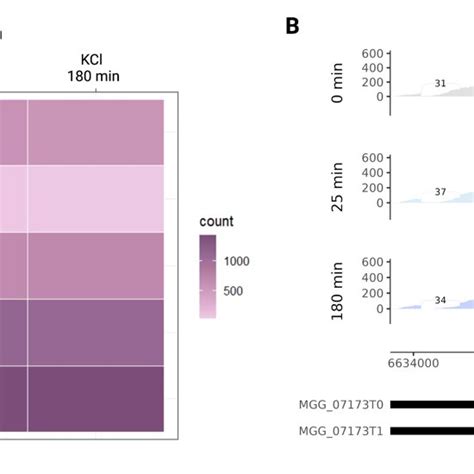 Image result for Python Heatmap RNA-Seq