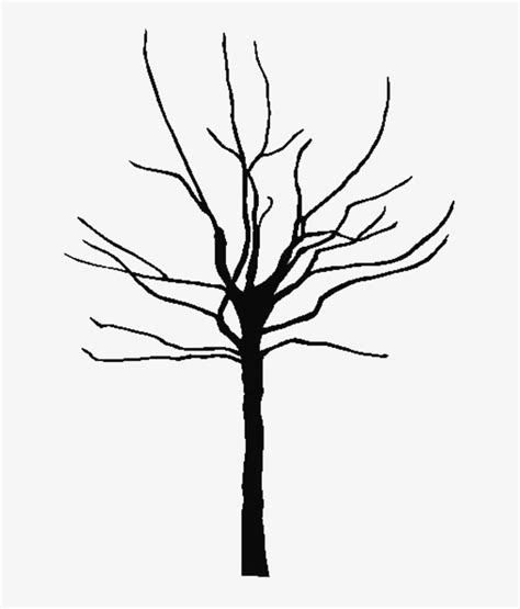 Image result for Tree Trunk Drawing
