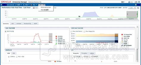 Remote Oracle Database Support : 2015