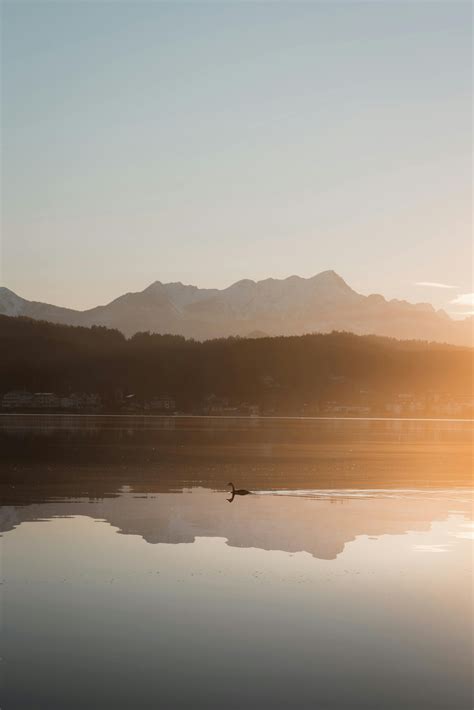 Computer Backgrounds 的图像结果