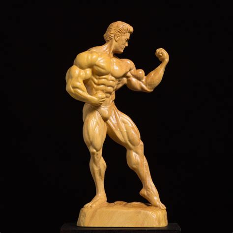Bodybuilding Muscular Male Model, Crafts Characters – Sociable Weaver Nest