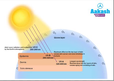 Ozone Layer: Depletion, Formation & Causes | AESL