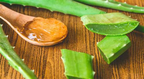 manfaat aloe vera gel moisturizer