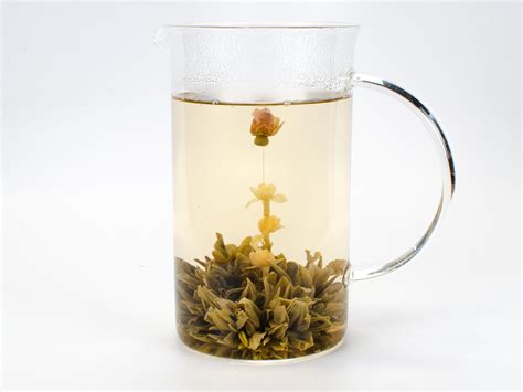 Jasmine Flower Blossom Tea | Best Flower Site