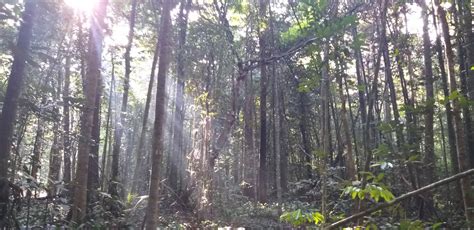 User account | Research Management Information System