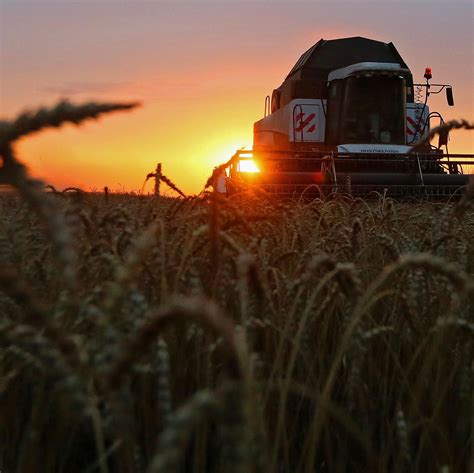 India's Import of Russian Agricultural Products Soars by 76%, Hits $572 ...