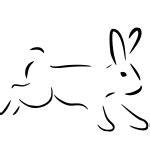 ExcelWriter Python 的图像结果