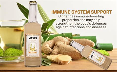 Mavi's Ginger Ale With Hibiscus&Chia Seeds|Refreshing Ginger Ale ...