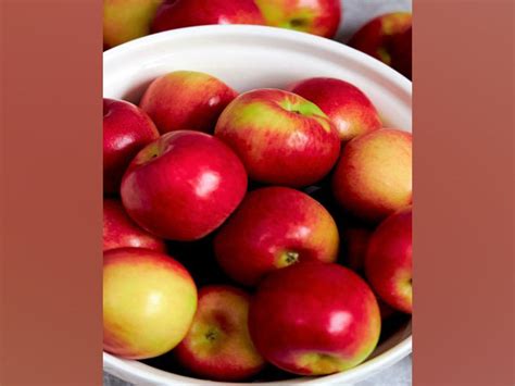 Adani Agri Fresh announces 2025 apple procurement rates in Himachal ...