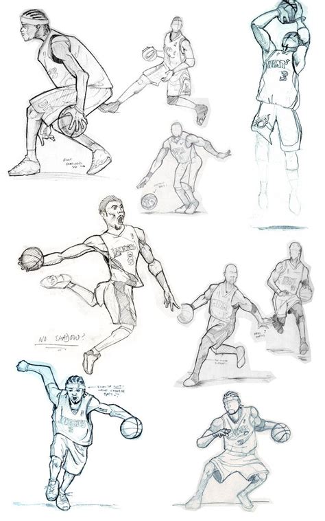 Basketball Drawing Reference 的图像结果