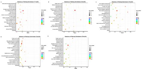 Metabolomic Analysis of Wheat Grains after Tilletia laevis Kühn ...