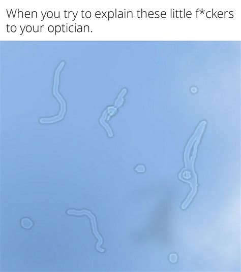 Image result for Eye Floaters Meme