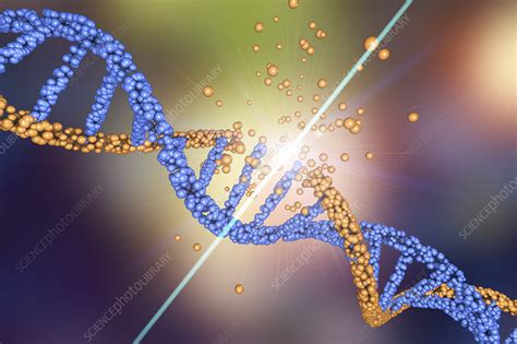 Image result for DNA Problem