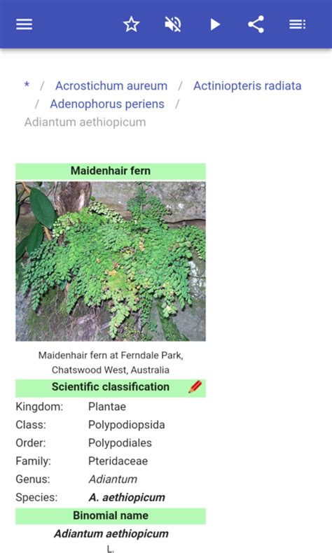 Fern species - App on Amazon Appstore